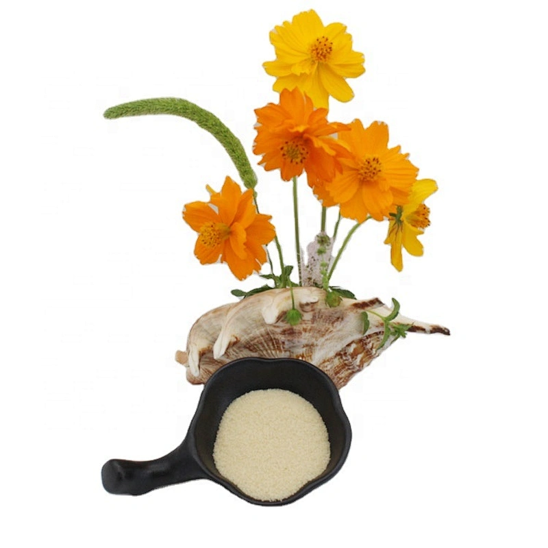 Gelatin High Quality Food Grade Gelatin Powder Thickeners For Food Additive